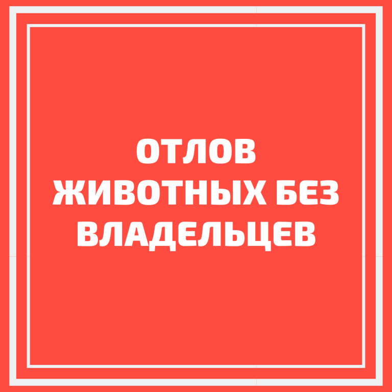 Реестр учета животных с 22.04.2023 по 08.08.2023.