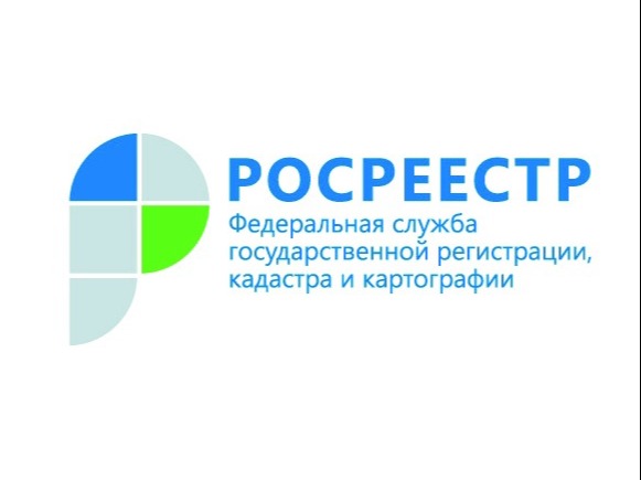 Курский Росреестр рассказал о применении на практике цифровой платформы НСПД.