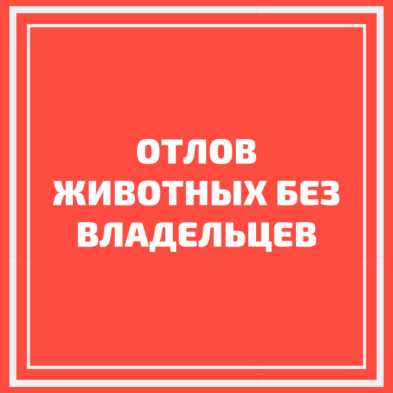 Постановление 812-па от 27.12.2022 по перечню мест на которые запрещается выпускать животных. Постановление 812-па от 27.12.2022 по перечню мест на которые запрещается выпускать животных.
